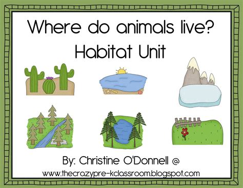 Kindergarten Mdash Habitat Schoolhouse Animal Habitat For Kindergarten - Animal Habitat For Kindergarten