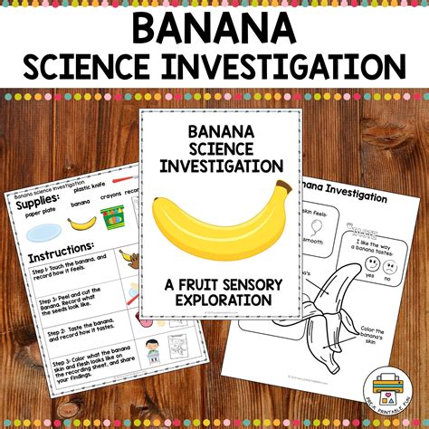 Kindergarten Message On A Banana Science Experiment And Banana Science Experiment - Banana Science Experiment