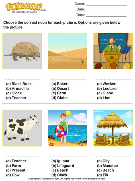Kindergarten Noun Worksheets Turtle Diary Noun Kindergarten Worksheet - Noun Kindergarten Worksheet