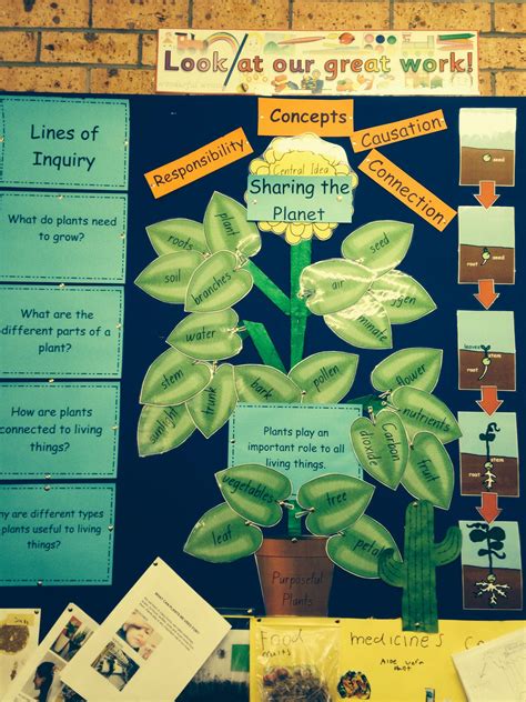 Kindergarten Plant Unit An Inquiry Based Approach Kindergarten Planting - Kindergarten Planting