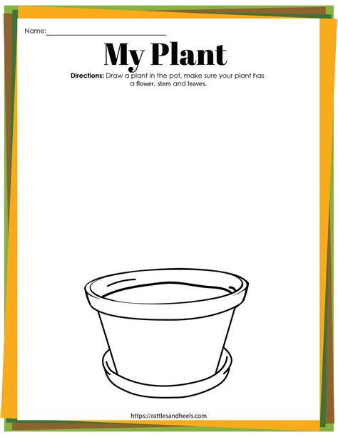 Kindergarten Plant Worksheets   20 Plant Life Cycle Worksheet Kindergarten - Kindergarten Plant Worksheets