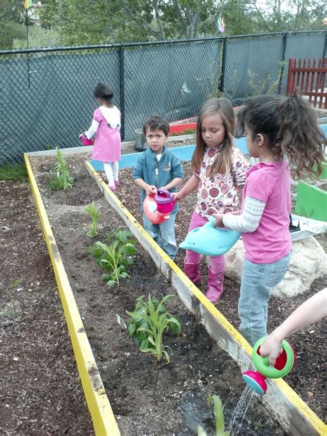 Kindergarten Planting   Farm To Desk Holloway High Students Hope To - Kindergarten Planting