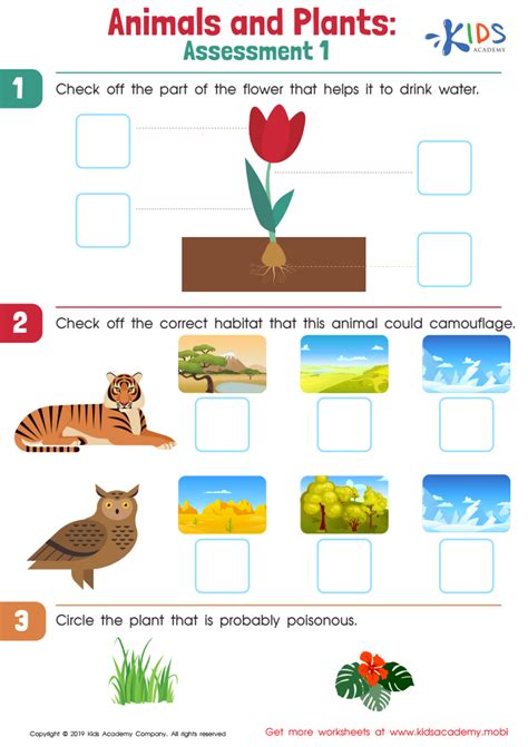 Kindergarten Plants Amp Animals Worksheets K5 Learning Kindergarten Animal Characteristic Worksheet - Kindergarten Animal Characteristic Worksheet