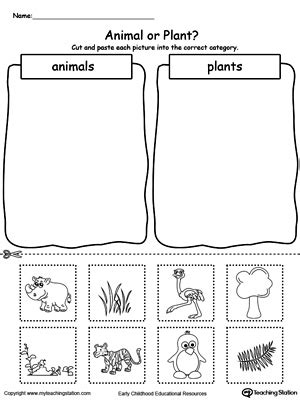 Kindergarten Plants And Animals Printable Worksheets Kindergarten Plant Worksheets - Kindergarten Plant Worksheets