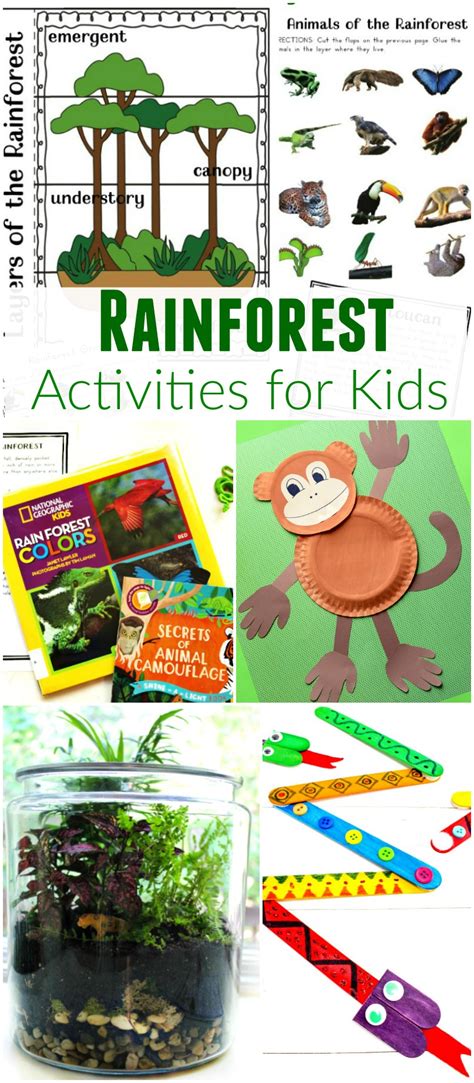 Kindergarten Rainforest   19 Fun Hands On Rainforest Activities For Kindergarten - Kindergarten Rainforest