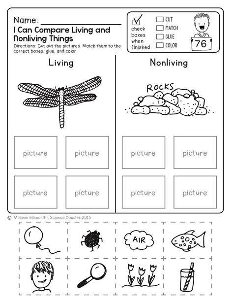 Kindergarten Science Worksheets K5 Learning Science Handouts - Science Handouts