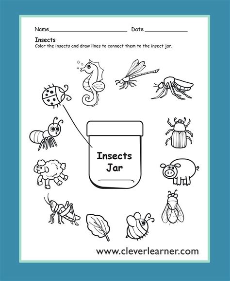 Kindergarten Science Worksheets Overall Guides Science Kindergarten Worksheet - Science Kindergarten Worksheet