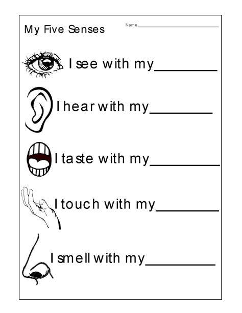 Kindergarten The 5 Senses Worksheets And Printables 5 Senses Activity For Kindergarten - 5 Senses Activity For Kindergarten