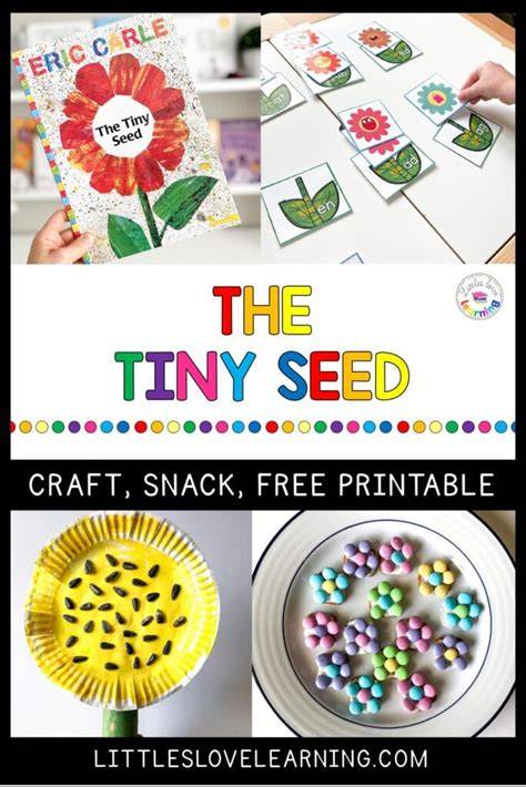 kindergarten the tiny seed lesson plans