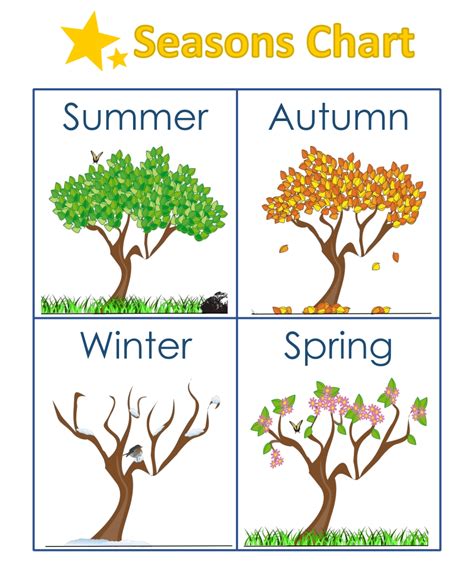 Kindergarten Weather And Seasons Worksheets Turtle Diary Kindergarten Seasons Worksheet - Kindergarten Seasons Worksheet