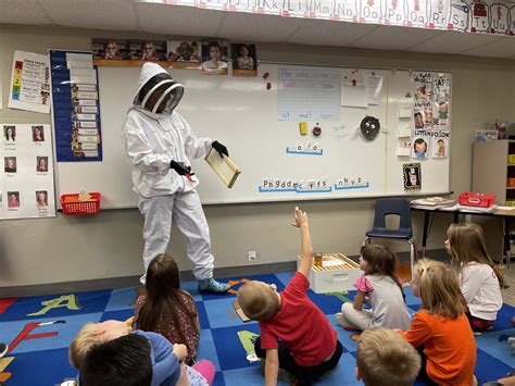 Kindergarteners Learn About Bees Fairbury Public Schools Bees Kindergarten - Bees Kindergarten