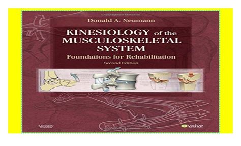 Full Download Kinesiology Of The Musculoskeletal System Foundations For Rehabilitation 2E 
