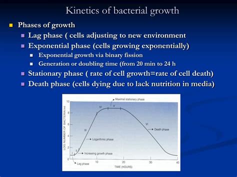 Download Kinetics Of Microbial Growth Crcnetbase 
