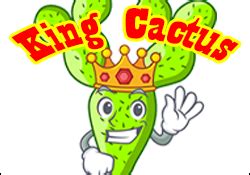 King Cactus Spelling Game