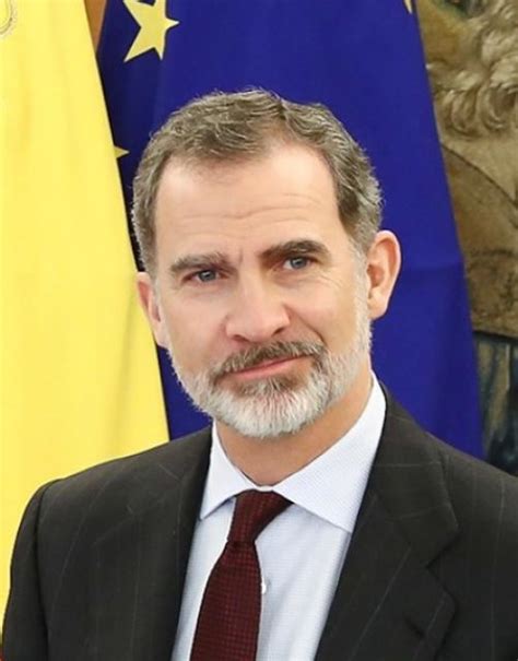 king felipe spain biography