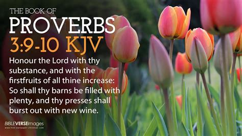 king james version bible verses