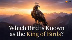 King Of Birds