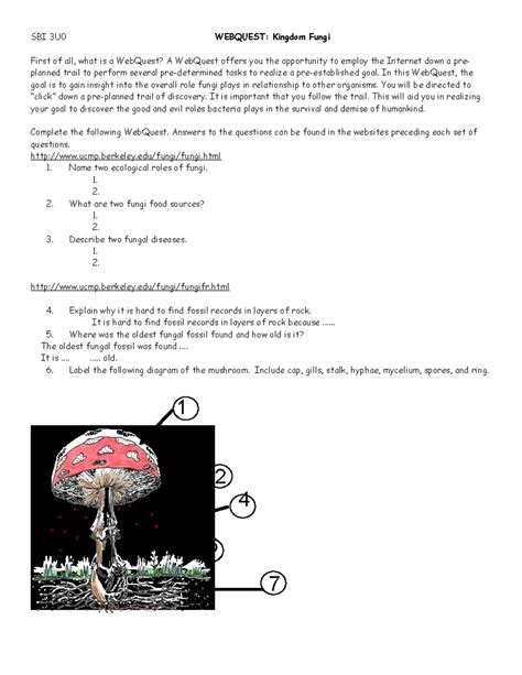 Kingdom Fungi Webquest