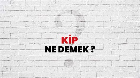 Kip Ne Demek
