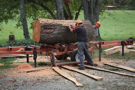 kippo logs to lumber