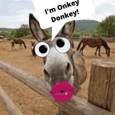 kiss my donkey gifs images