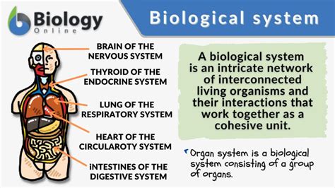 kissing neck description definition biology definition biology