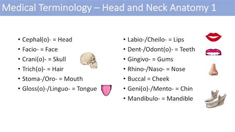 kissing neck description meaning medical terminology definition