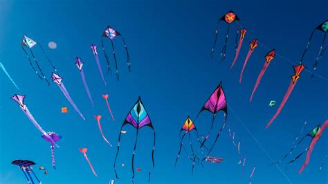 kite | Giant kites brighten the sky of Can