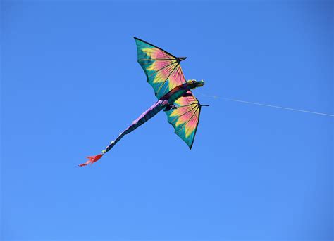 Kite Science Drachenkite Kites Science - Kites Science