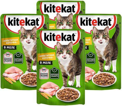 kitekat boosty