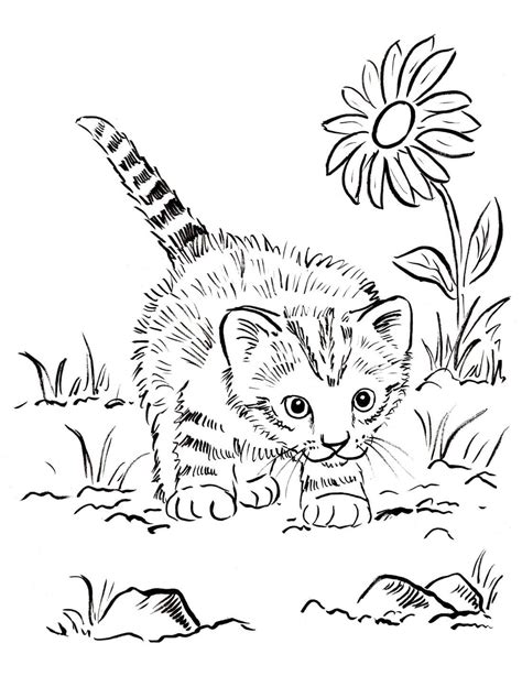 Kitten Coloring Pages Coloringlib Baby Kitten Coloring Page - Baby Kitten Coloring Page