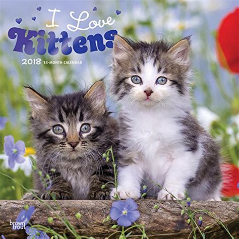 Read Kittens Puppies 2018 12 X 12 Inch Monthly Square Wall Calendar With Foil Stamped Cover Animals Cute Cat Dog Multilingual Edition 