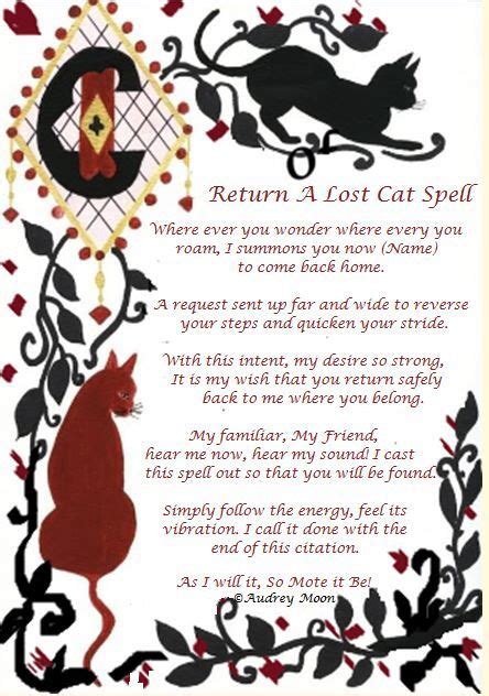 kitty spell