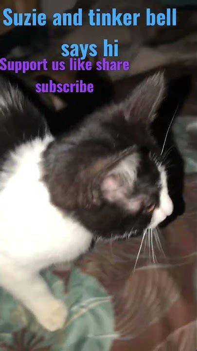 kitty suzie nude