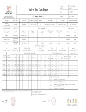 Kitz Valve Certificate Test