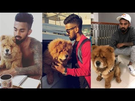 Kl Rahul Dog