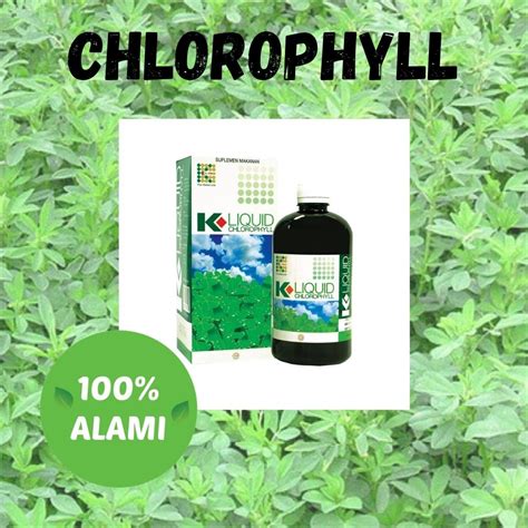 klorofil untuk asam lambung
