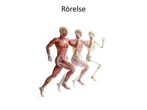 knakar i leder och muskler