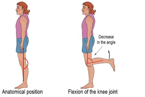 knee locked in flexion