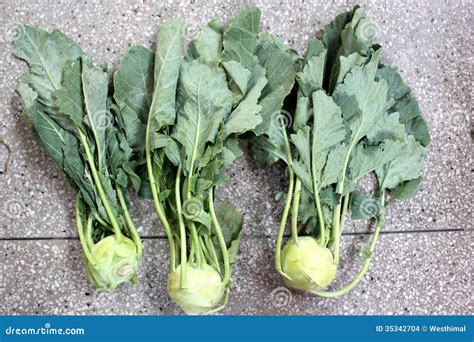 Knol Khol Vegetable