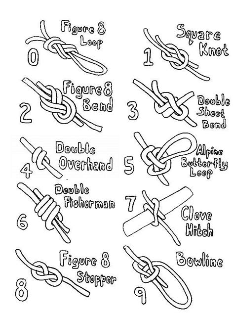 Knot Tying Guide