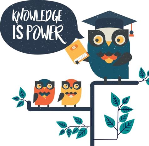 knowledge owl