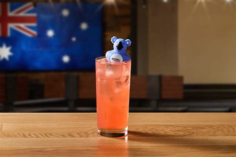 Koala Punch Outback