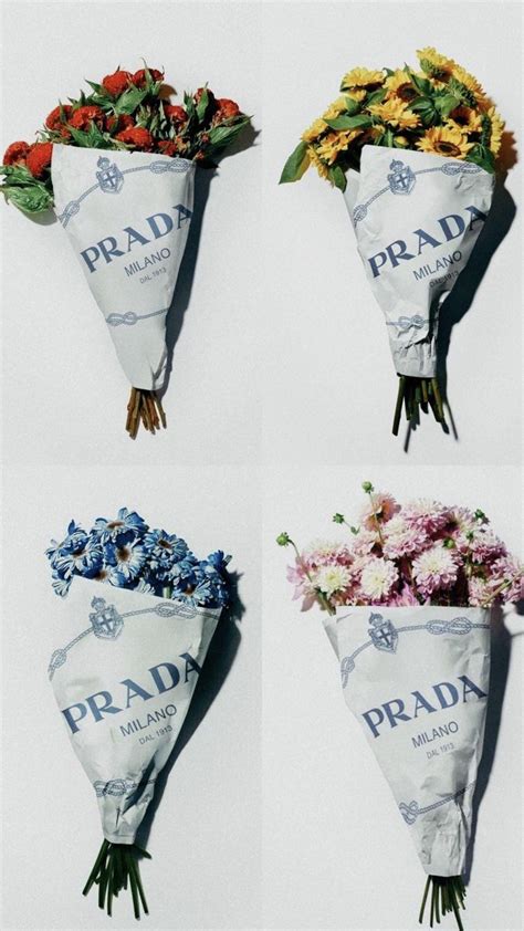 kobosing | Kobosing tayang 9 Oktober di Tokyo MX