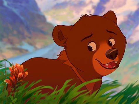 Koda The Bear
