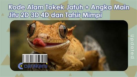 KODE ALAM TOKEK JATUH - 17+ Kode Alam Tokek Jatuh + Angka ain Jitu 2D 3D 4D dan Tafsir