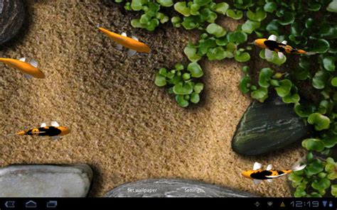 koi live wallpaper for android mobile