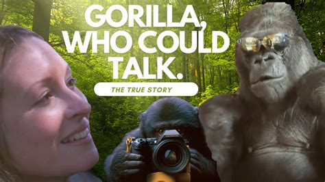 Koko Login   The Incredible Story Of Koko The Gorilla Who - Koko Login