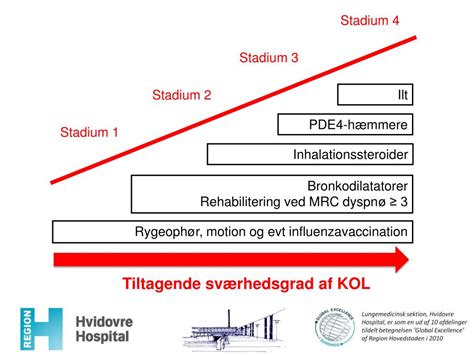 kol stadium 5