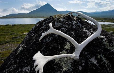 koloniseringen av sapmi